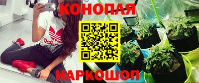 таблы Лесосибирск