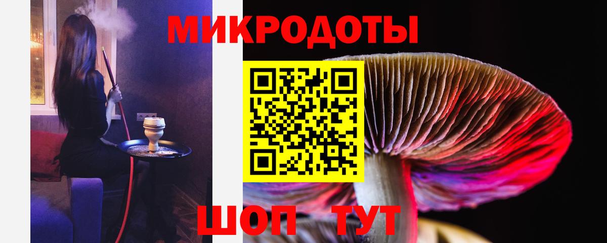 Галлюциногенные грибы ЛСД Губкинский
